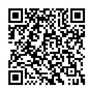 行刑的锦衣卫闻声将手里的廷杖高高的举向天空二维码生成
