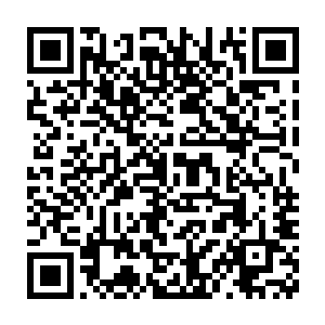 行星级的异兽没有个几十万人往里堆压根就不可能伤到它一根毫毛二维码生成