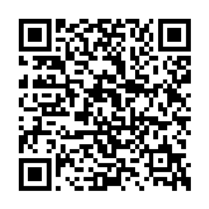 衍生出一系列眼花缭乱的斗技和斗神之类的东西二维码生成