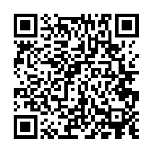 衔尾蛇之环最近更是收到了大量明里暗里的示好和打探二维码生成