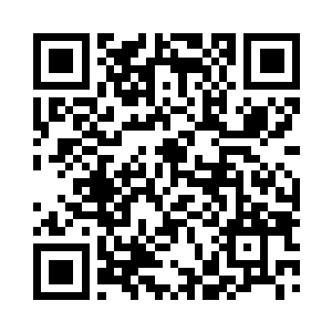 街上的人群以及军府里一些境界稍浅的人二维码生成