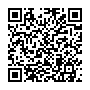街道两边成排的梧桐树多少给这里带来一些温馨的市井气息二维码生成
