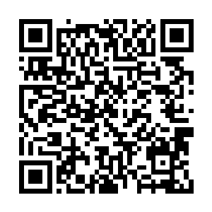 衣食住行才更能够看出来一个城市的变化和发展二维码生成