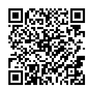 补天大陆和遗失大陆的修士负责守护通往星光大陆的入口二维码生成