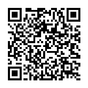 补天宫的云台之上却只有苍梧和左岩两个圣级大修士二维码生成