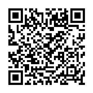 表明改日有空会在靖安公府给大舅兄一家下帖子二维码生成