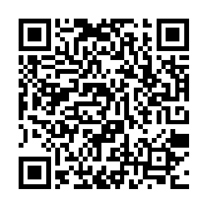 表现了冬去春来大地复苏万物向荣升生机勃勃的景象二维码生成