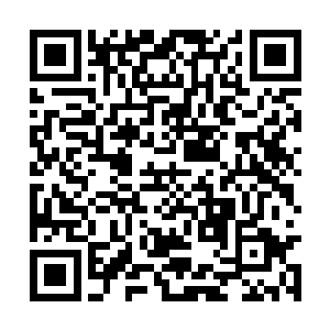 表示夜冥星系不足百岁又达到了涅槃境的超级天才二维码生成