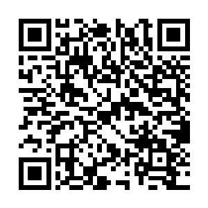 表示死在楚暮剑下的中级妖兽已经有一千五百多头二维码生成