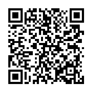 表示要午休一会儿的陌路离殇只迫不及待的领取了任务奖励二维码生成