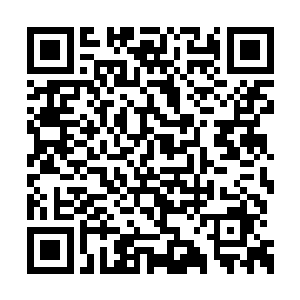 表达了希望为国家在东南亚亦商亦武的发展路数二维码生成