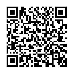 表面上是兰云曦与轩辕无极在正式成亲之前的一次普通的见面二维码生成