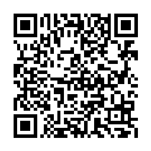 表面上看起来我好像是阴差阳错的没有机会开枪二维码生成