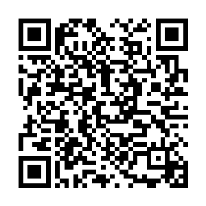表面布满了削铁如泥的骨刃和蕴藏着强大能量的晶状体二维码生成