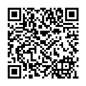 表面还带着血迹的护腕一般的物质纷纷穿透骨肉二维码生成