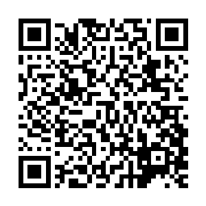 衰老的状态让蛇王比平时多花了一息的时间才摆脱了睡眠的影响二维码生成