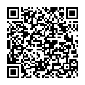 袁世凯手下的七个镇就被张一虎与张孝淮手下的大军给分割成一小片二维码生成