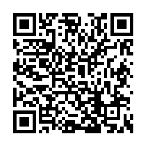 袁仕平不知道从哪里抽出了一张符愣愣的看着我二维码生成