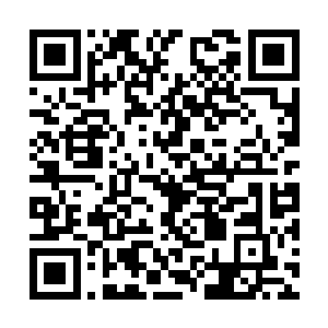 袁仕平手里拿着一个不知道是啥的珠子朝我笑了笑二维码生成