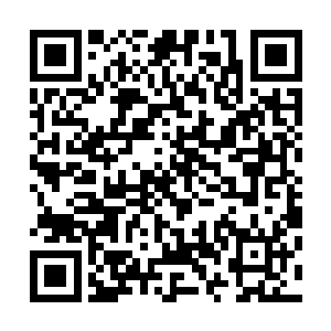 袁和伟招呼下人把特别准备的点心盒子拿到林若溪面前摆好二维码生成