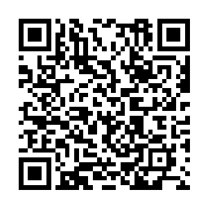 袁和伟虽然心里震惊于杨辰有能力提供这么多现金二维码生成