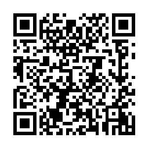 袁洪身上的气势顿时也是仿佛坐了火箭一般疯狂的提升二维码生成