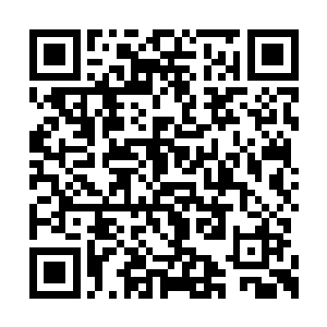 袁琳拉了一把正兴奋地对着红曰拍照的蒋钦手臂二维码生成