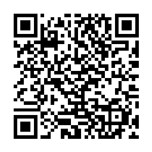 袁龙驾驶着赤龙战机就开始对零度八代进行压迫式的防守二维码生成