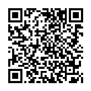 袖口处用暗红丝线绣着一个蓝色的火焰方盾徽章二维码生成