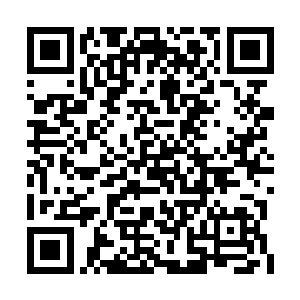 被一个盘子装着的一盘子似乎是某种丹药的拍品二维码生成