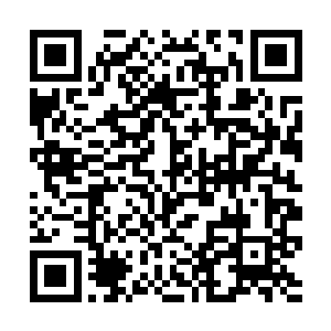 被一双手捧起来拍了拍脸――珍妮甩掉了手上的水珠二维码生成