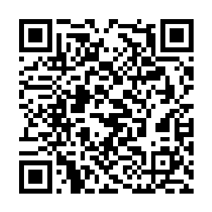 被一只凶猛的老虎用锋利强壮的爪子一把按在地上二维码生成