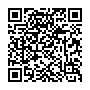 被一同传送回来的诸暨子徒弟也是在一边露出了困惑和不解之色二维码生成