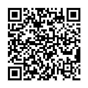 被一面上面具有科莫音巨蛇雕刻的红色盾牌挡了下来二维码生成