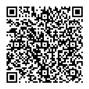 被下山采药的弟子发现陈尸在山涧小溪之中……另有一名男施主也已往生……是我们璇玑宫的香客二维码生成