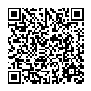 被两位老人家勒令不用动手的颜晓夕便开始用探询的目光紧瞅着王世子二维码生成
