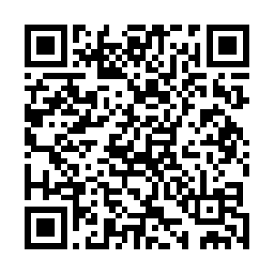 被主人取走性命还是因为主人失去性命已经是他的宿命了二维码生成