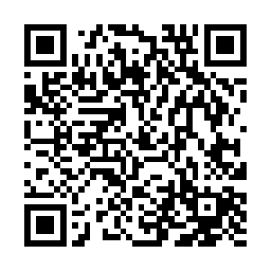 被乌云这么冷冰冰的六个字猛然打断下犹如惊弓之鸟二维码生成