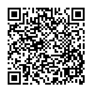 被九大神王栽种在这里的大道花和虚云花自然也被淹没在了厚厚的山石废墟之中二维码生成