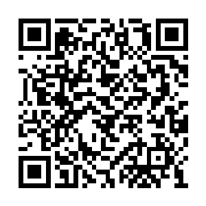 被京城过来的宫少卿和省城的杨扬给清盘出去了二维码生成