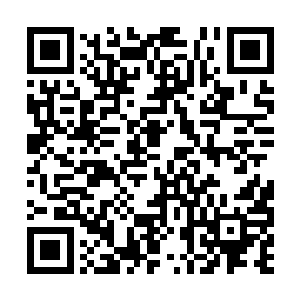 被人护着宠着的感觉原来是这样的……陌生又奇怪二维码生成