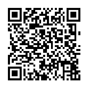 被人类协调员处理过的九张被他随手放在一旁了二维码生成