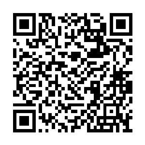 被他牢牢拽着按在椅子上的他却是丝毫不为所动二维码生成