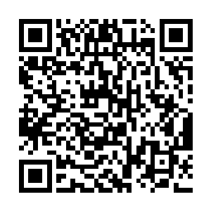 被传送出迦南秘境里的四年级学生跌跌撞撞走出来了二维码生成