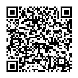 被侵蚀出一片阴影的神识也被凝厚如同实质的血妖姬之魄强硬浸入二维码生成