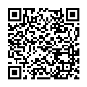 被修剪整齐还涂上粉红色蔻丹的指甲折断都不知道二维码生成