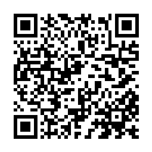 被修改评级会使tet在年轻群体之中引发更多的关注二维码生成