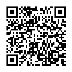 被入侵的理由是因为敌视了一个比芬兰强大了百倍的邻国二维码生成