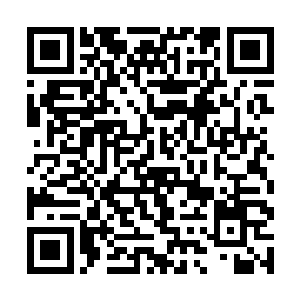 被关在车内铁笼里的目标人目光快速打量车内情况后二维码生成