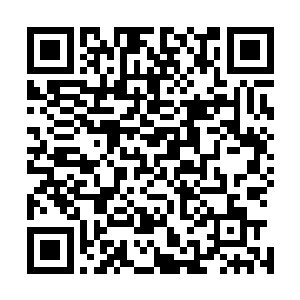 被养在校园里的娇嫩小花儿又哪里受得了王石这等精神摧残二维码生成